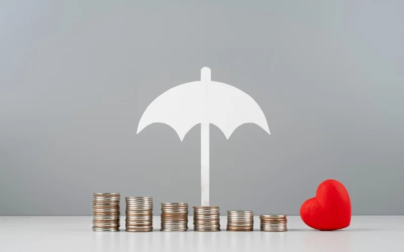 Insuring Your Senior Dog